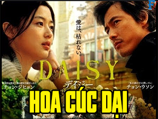 Hoa Cúc Dại - Daisy