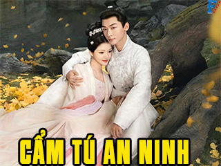 Cẩm Tú An Ninh