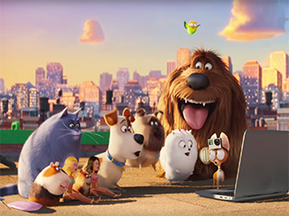 Đẳng Cấp Thú Cưng 1 - The Secret Life of Pets