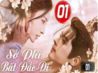 SỞ PHI BẤT ĐẮC DĨ