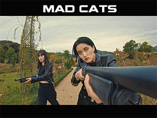 Mèo Điên - Mad Cats