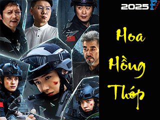 Hoa Hồng Thép - Steel Rose