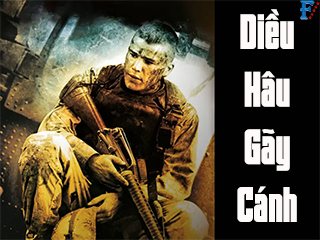 Diều Hâu Gãy Cánh - Black Hawk Down